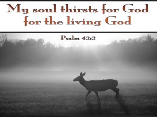 Psalm-42-2-My-Soul-Thirsts-for-God-gray-copy